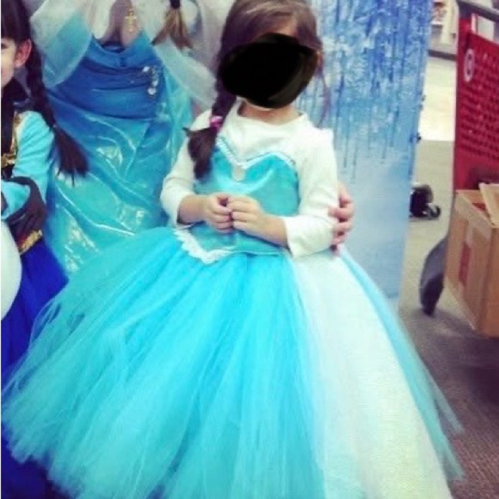 Elsa Frozen Handmade Dress Gown Costume